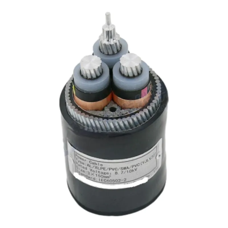 plate check valve