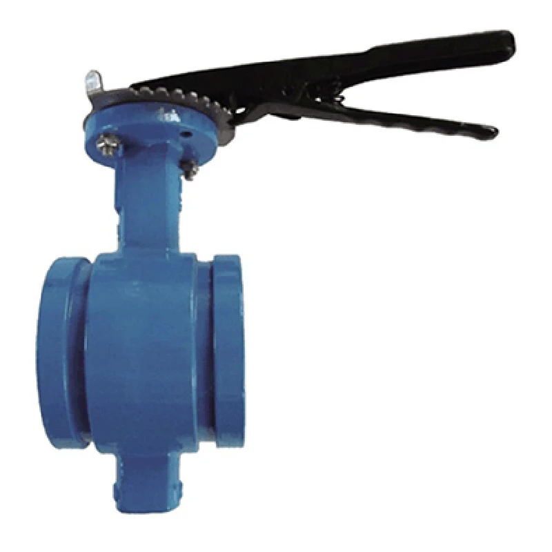 double eccentric butterfly valve