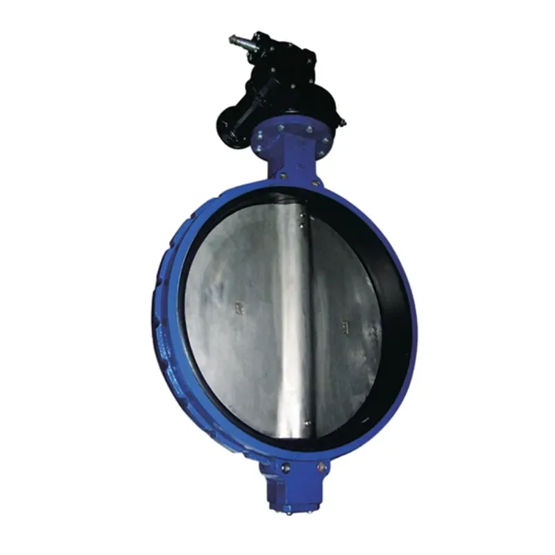 lined check valve