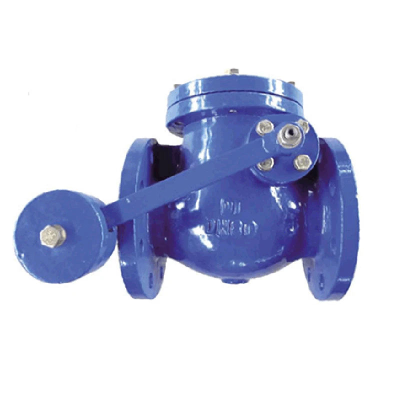You Need to Know About Industrial Swing Check Valve: Functionality, Scope, and Performance