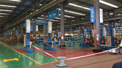 plate check valve