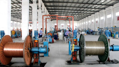 flow control check valve