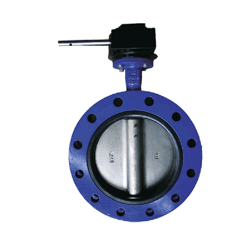 flap check valve