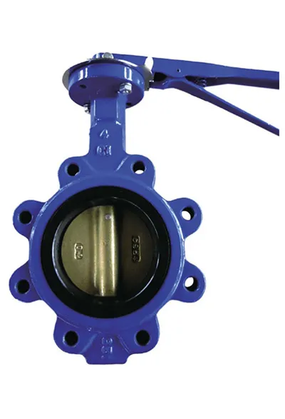 globe valve