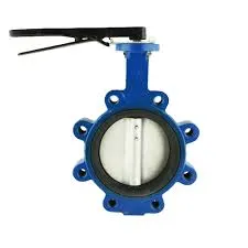 globe check valve