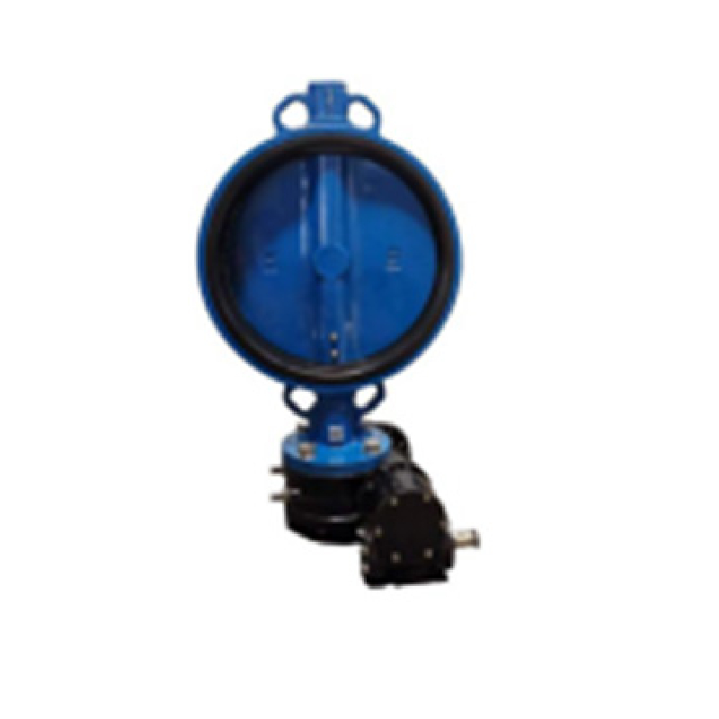 quiet check valve