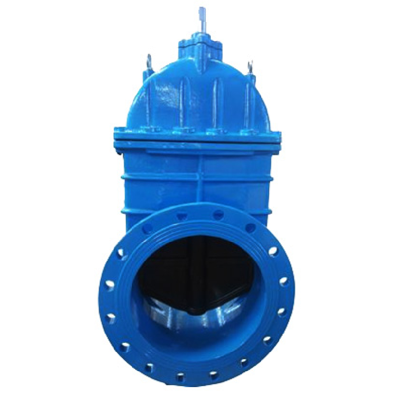 rsv gate valves