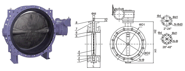 double swing check valve