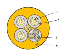 cast iron foot valve