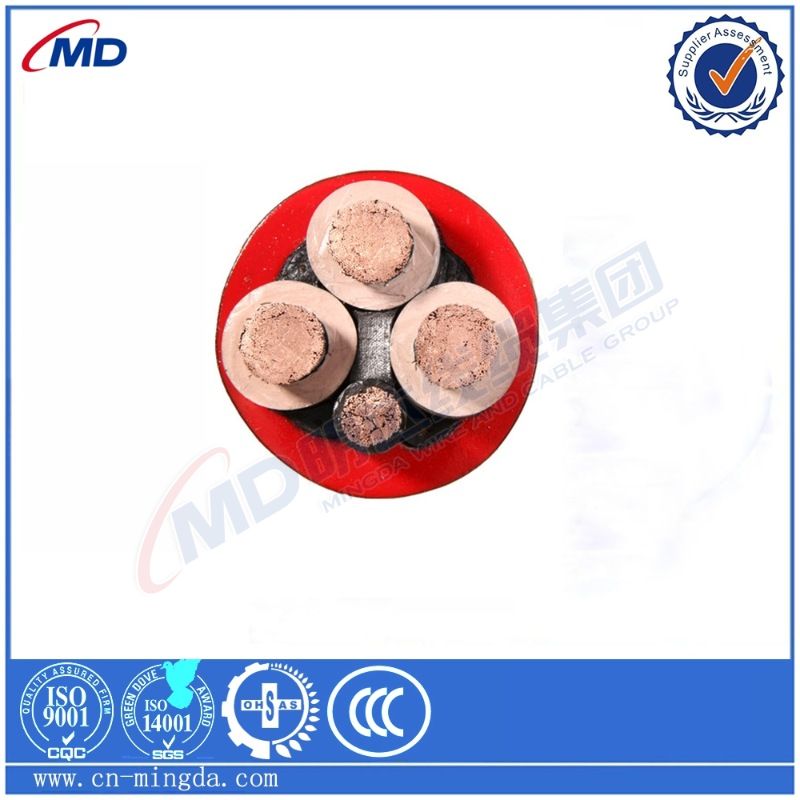 double ball check valve