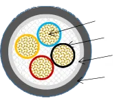 plate check valve