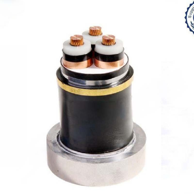 8 inch check valve