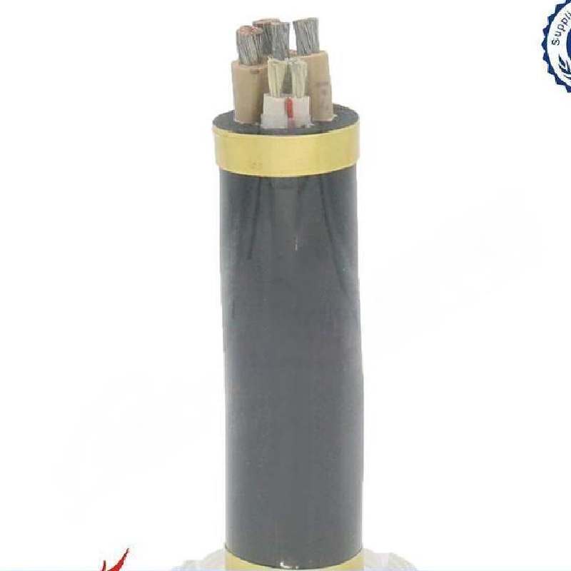 2 inch foot valve