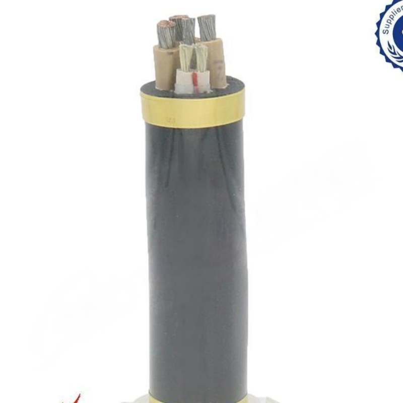 air compressor release valve